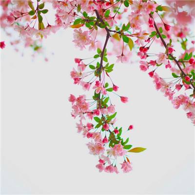 巫师竞技场英雄冒险正式版下载